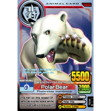 A004 Polar Bear