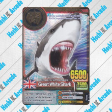 Great White Shark 